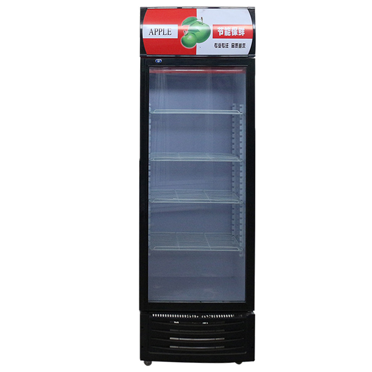 Customized 501L Beverage Refrigerated Display for Us Standard